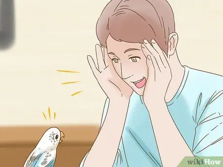 Развлекайся с маленькой птичкой Шаг 5