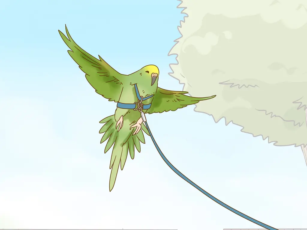 3 способа повеселиться с маленькой птичкой