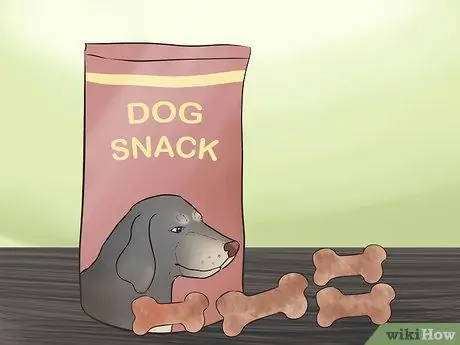 Покормить щенка йорка Шаг 11