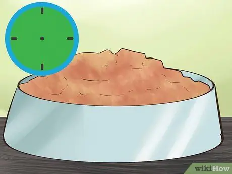 Покормить щенка Йорки Шаг 3