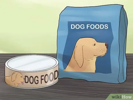 Покормить щенка Йорки Шаг 6