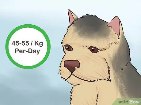 Покормить щенка Йорки Шаг 9