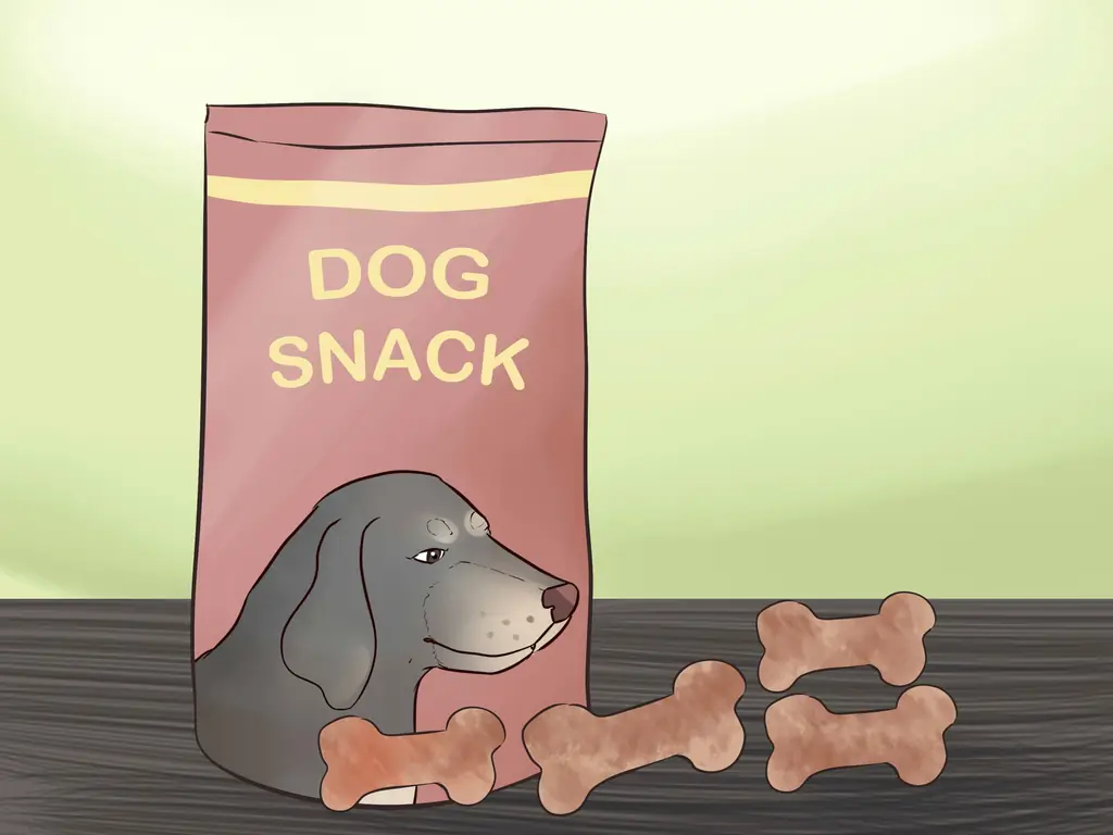 Как кормить щенка йорка: 11 шагов (с иллюстрациями)