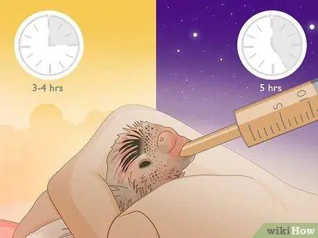 Покормить маленького волнистого попугайчика Шаг 11