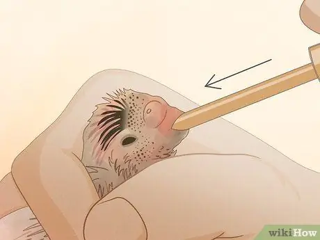 Покормить маленького волнистого попугайчика Шаг 7