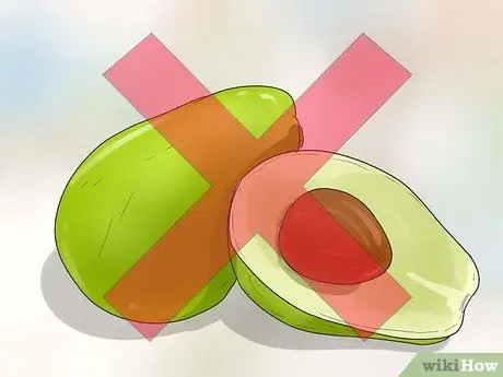 Уход за йоркширским терьером Шаг 11