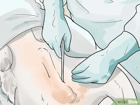 Уход за йоркширским терьером Шаг 6