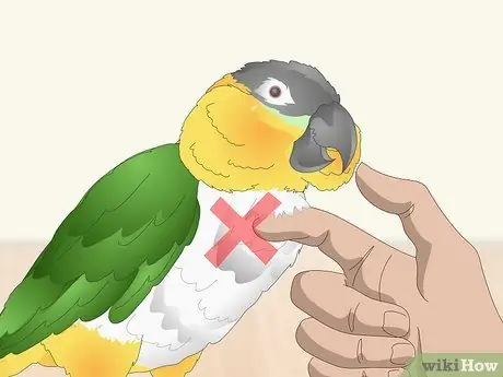 Погладить птицу Шаг 4