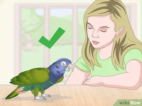 Погладить птицу Шаг 9