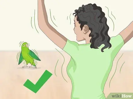 Взаимодействовать с вашим Parrotlet Шаг 2