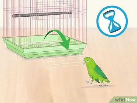 Взаимодействовать с вашим Parrotlet Шаг 3