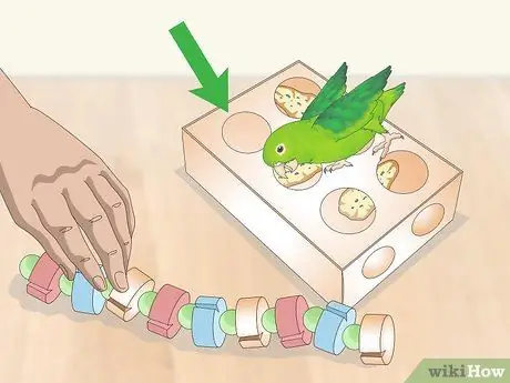 Взаимодействуйте с вашим Parrotlet Step 4