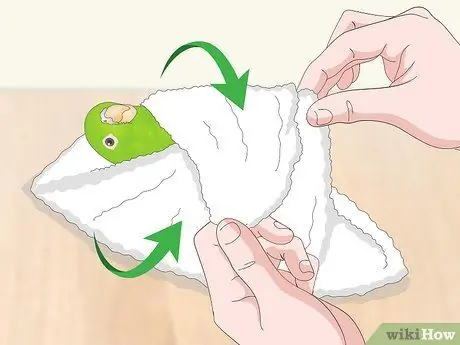 Взаимодействуйте с вашим Parrotlet Step 6