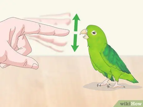 Взаимодействовать с вашим Parrotlet Step 8