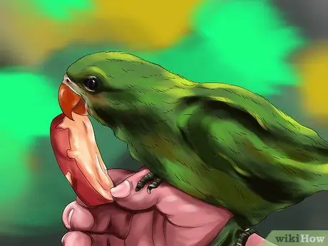 Поднять уютную птицу Шаг 10 Поднять уютную птицу Шаг 10