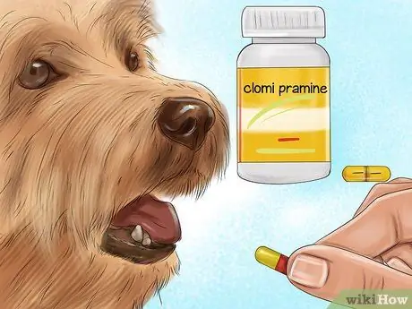 Остановите вашу собаку от опасного плохого поведения Шаг 14