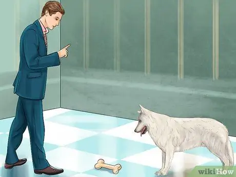 Остановите вашу собаку от опасного плохого поведения Шаг 8