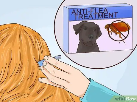 Предотвращение образования язвочек и царапин у пожилых собак Шаг 11