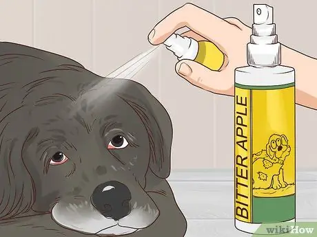 Предотвращение образования язвочек и царапин у пожилых собак Шаг 2