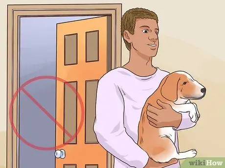 Предотвращение образования язвочек и царапин у пожилых собак Шаг 5