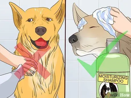 Предотвращение образования язвочек и царапин у пожилых собак Шаг 6