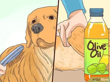 Предотвращение образования язвочек и царапин у пожилых собак Шаг 7