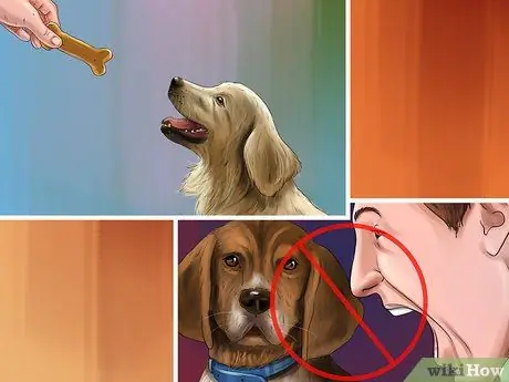 Избавьтесь от собачьего шума, шаг 10