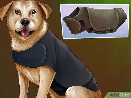 Избавьтесь от собачьего шума, шаг 11