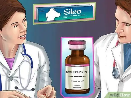 Избавьтесь от собачьего шума, шаг 15