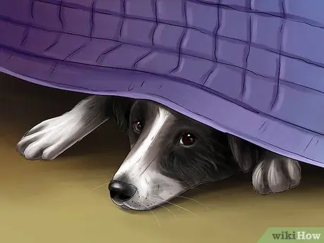 Избавьтесь от собачьего шума, шаг 2