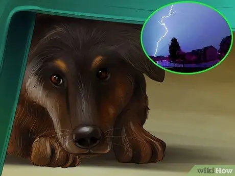 Избавьтесь от собачьего шума, шаг 3