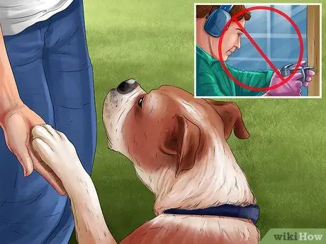 Избавьтесь от собачьего шума, шаг 6