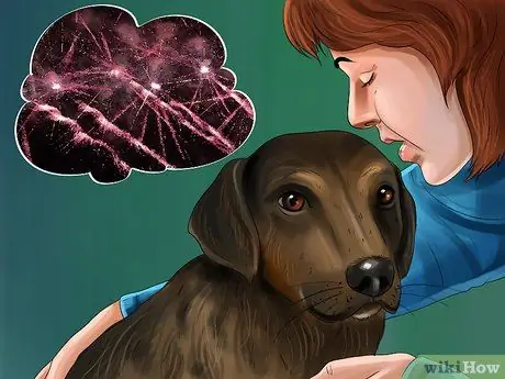 Избавьтесь от собачьего шума, шаг 7