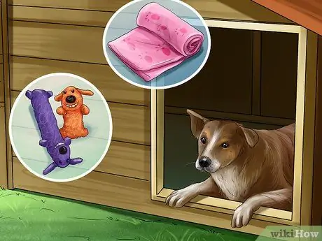 Избавьтесь от собачьего шума, шаг 9