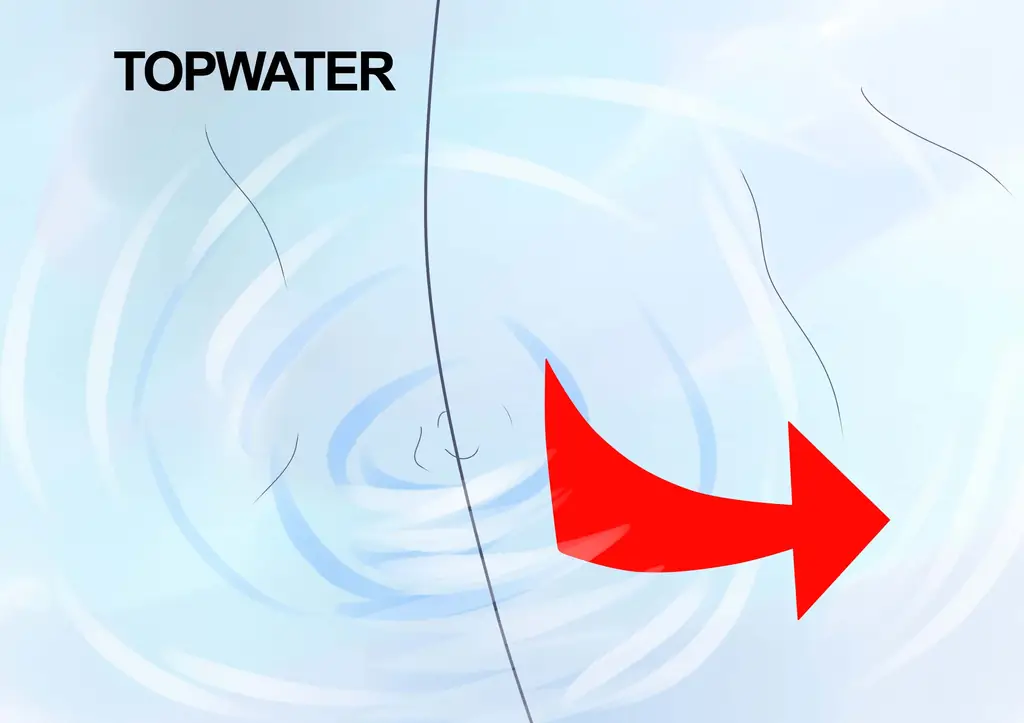 Как использовать приманки Rapala: 5 шагов (с изображениями)