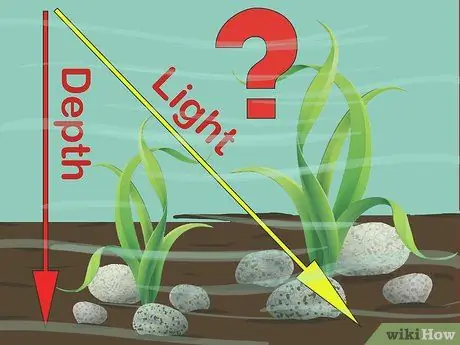 Использование цвета при ловле нахлыстом, шаг 2