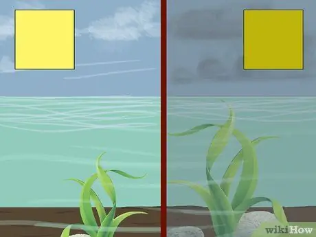 Использование цвета при ловле нахлыстом Шаг 3