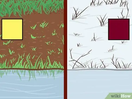 Использование цвета при ловле нахлыстом Шаг 5