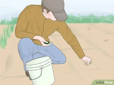 Будь ковбоем Шаг 3