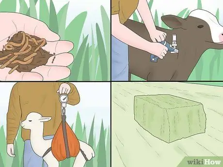 Будьте ковбоем Шаг 6