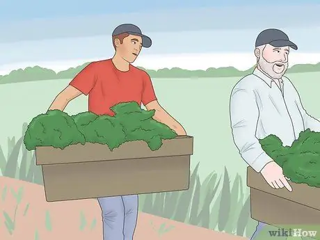 Будьте ковбоем Шаг 7