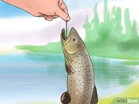 Выпотрошить форель Шаг 4