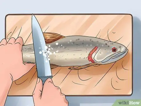 Выпотрошить форель Шаг 7