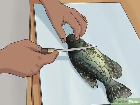 Чистый краппи, шаг 1