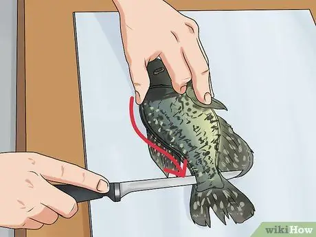 Чистый краппи, шаг 4