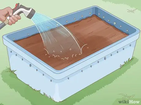 Выращивайте собственных рыболовных червей, шаг 6