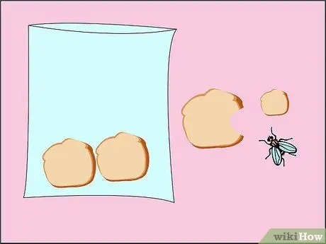 Сделайте рыбную приманку из хлеба Шаг 6