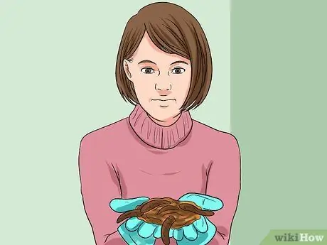 Сохраните жизнь рыболовных червей для рыбалки, шаг 1