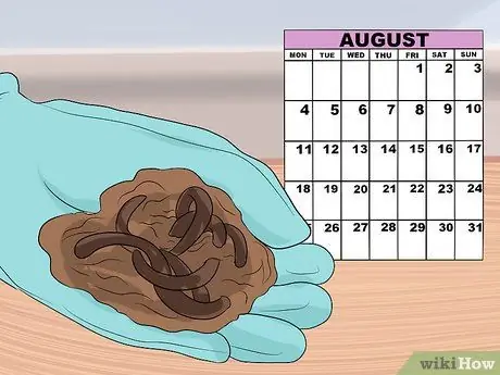 Сохраняйте жизнь рыболовных червей для рыбалки Шаг 10