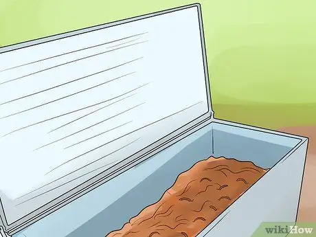 Сохраняйте жизнь рыболовных червей для рыбалки, шаг 4